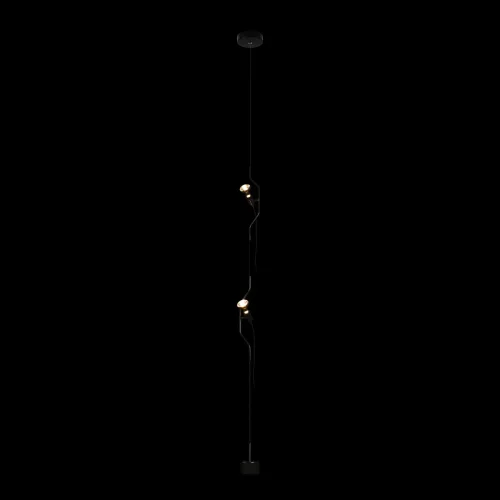 Светильник подвесной Parentesi 10346-2 Black LOFT IT без плафона 2 лампы, основание чёрное в стиле модерн на растяжку фото 2